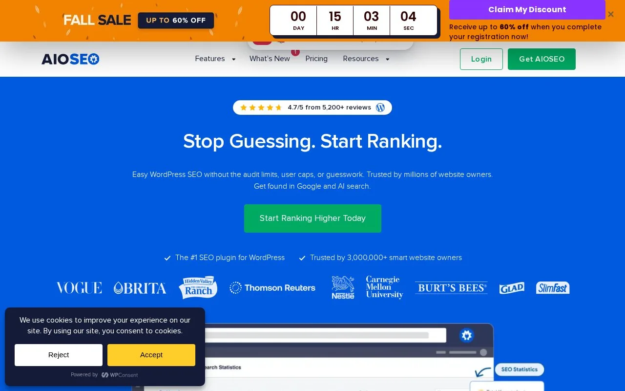 Screenshot of the All in One SEO homepage