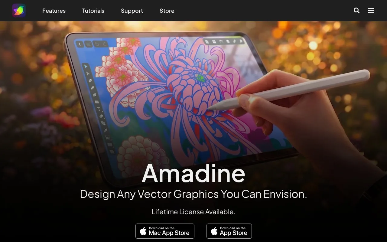 Screenshot of the Amadine homepage