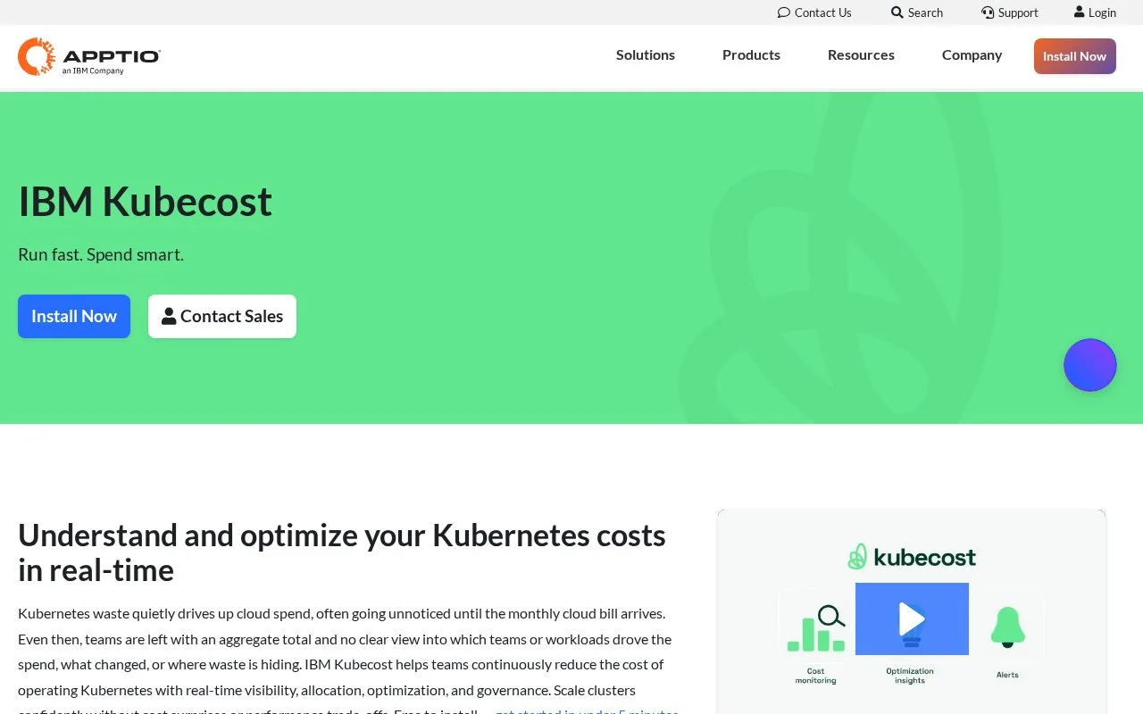 Screenshot of the IBM Kubecost homepage