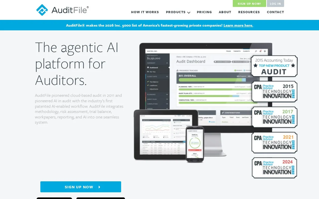 Screenshot of the AuditFile homepage