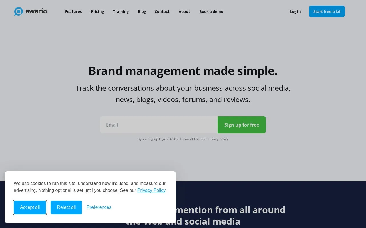 Screenshot of the Awario homepage