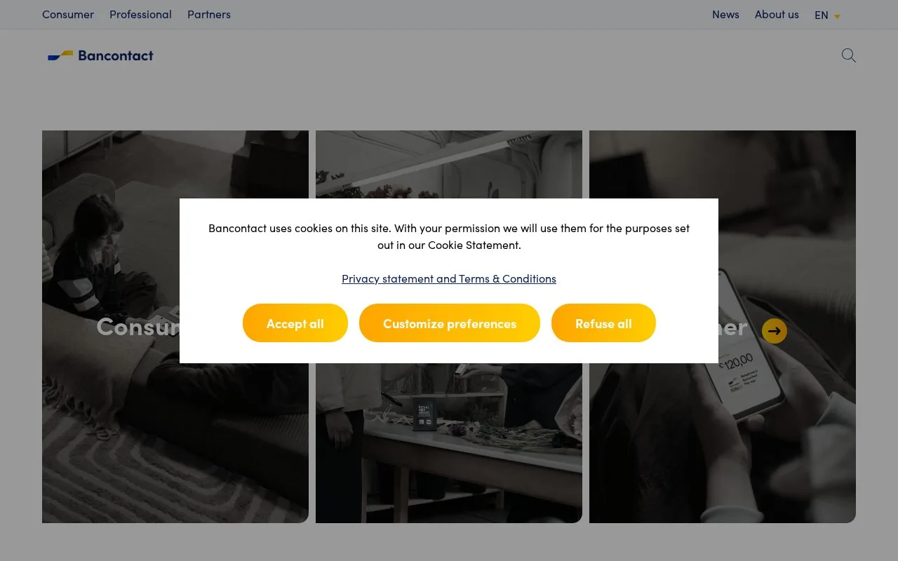 Screenshot of the Bancontact Pro homepage