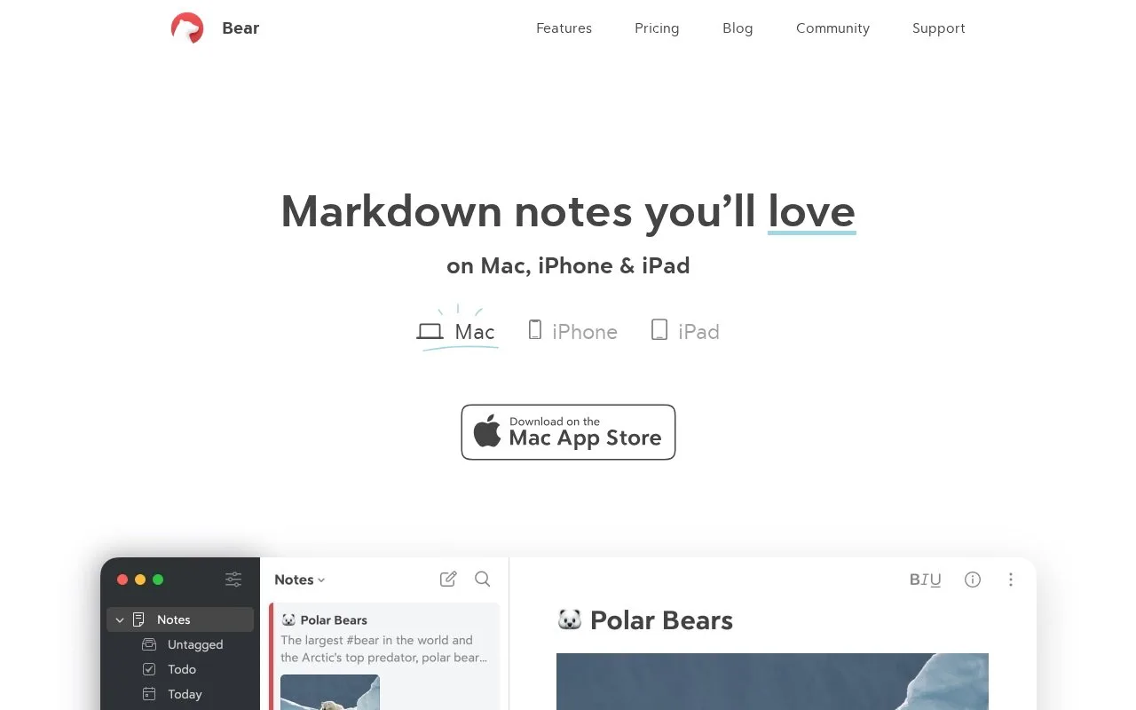 Screenshot of the Bear homepage