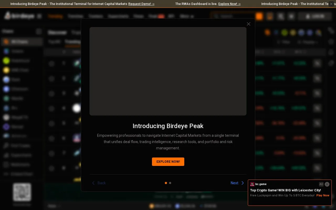 Screenshot of the Birdeye homepage