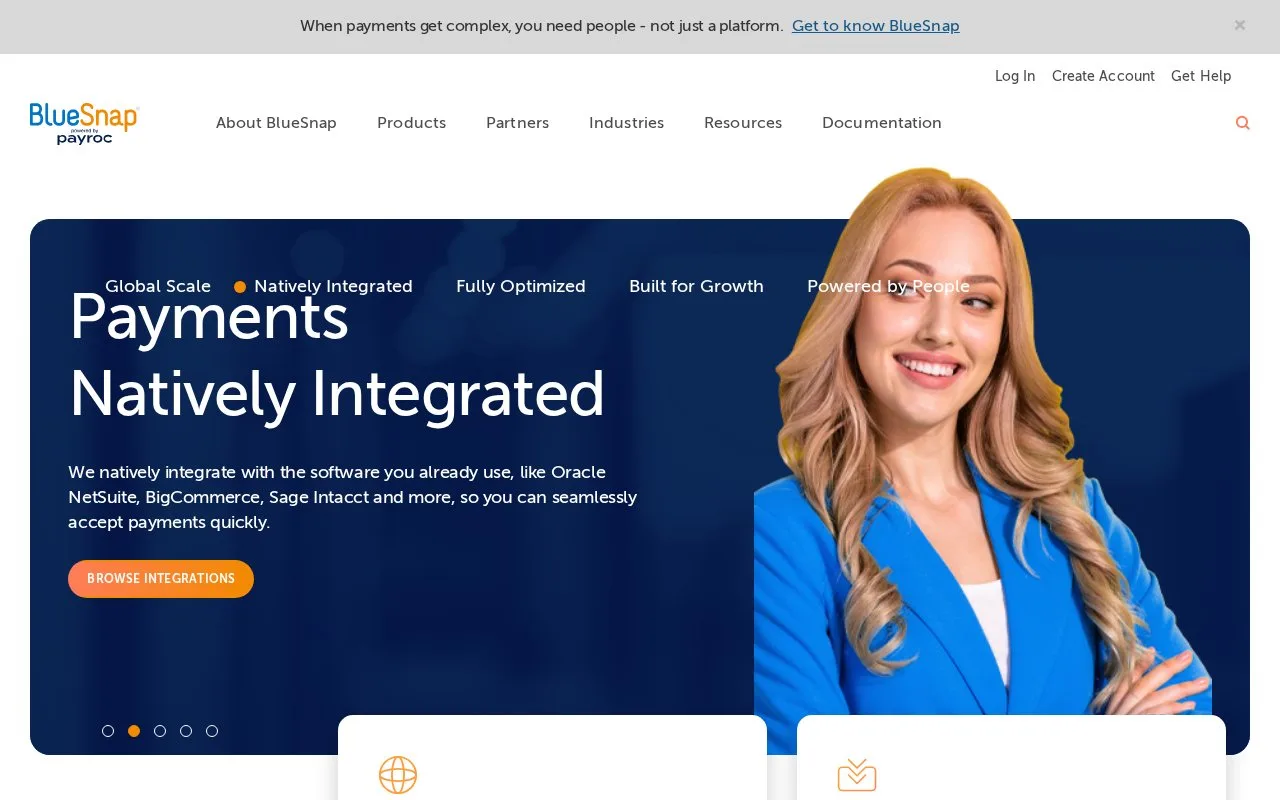 Screenshot of the BlueSnap homepage