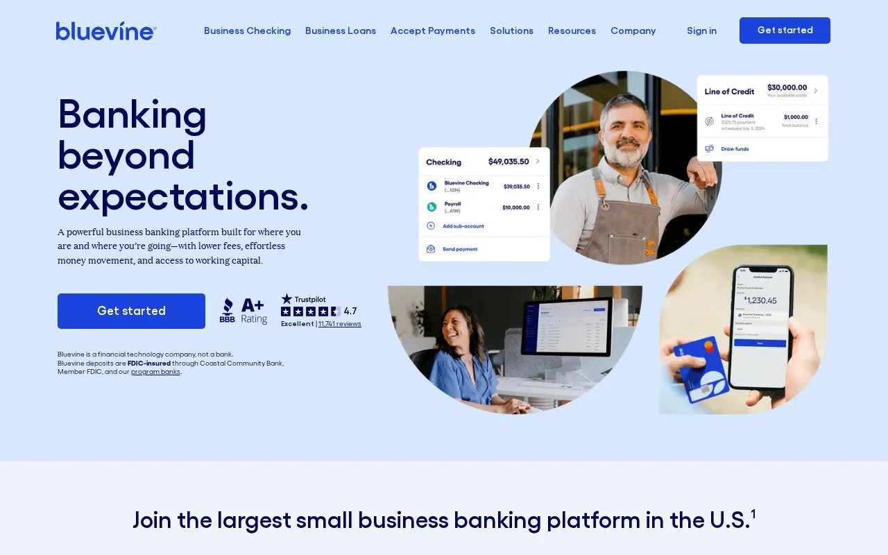 Screenshot of the Bluevine homepage