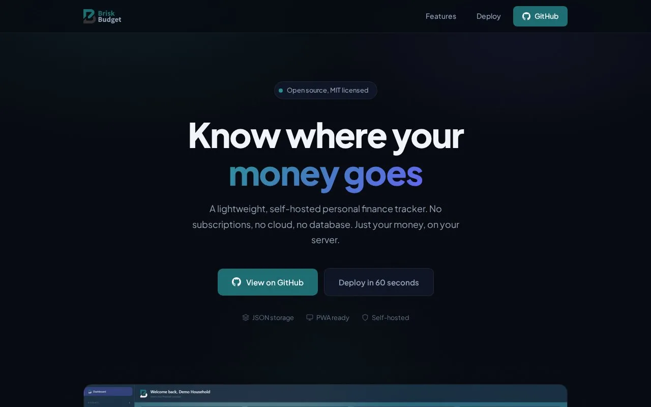 Screenshot of the Brisk Budget homepage