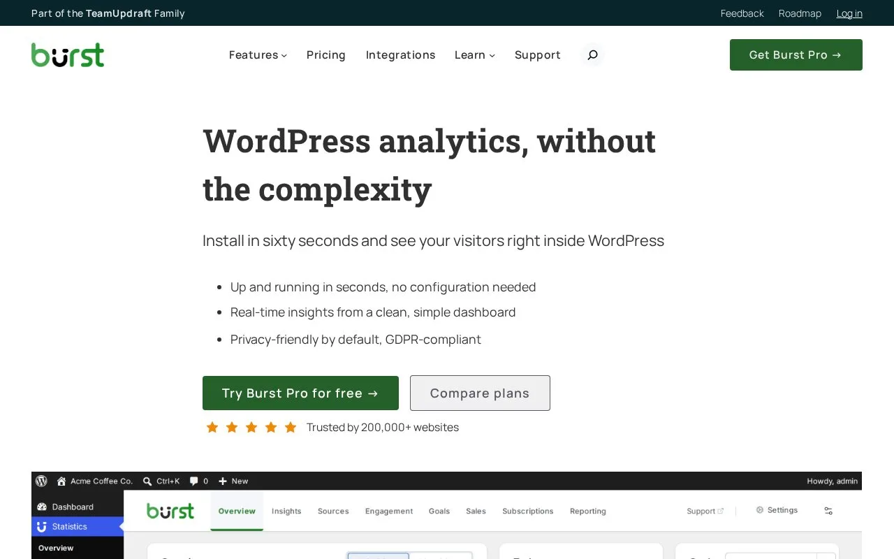 Screenshot of the Burst Statistics homepage