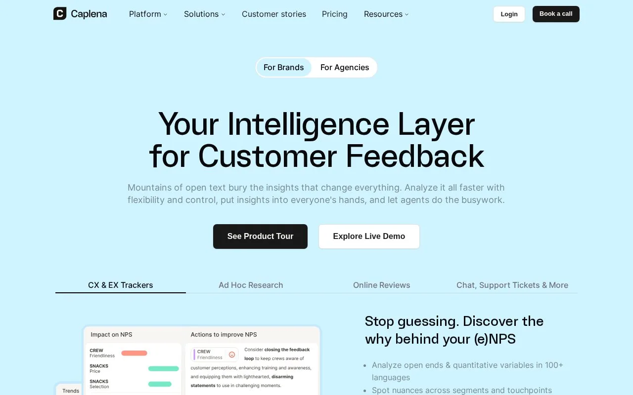Screenshot of the Caplena homepage
