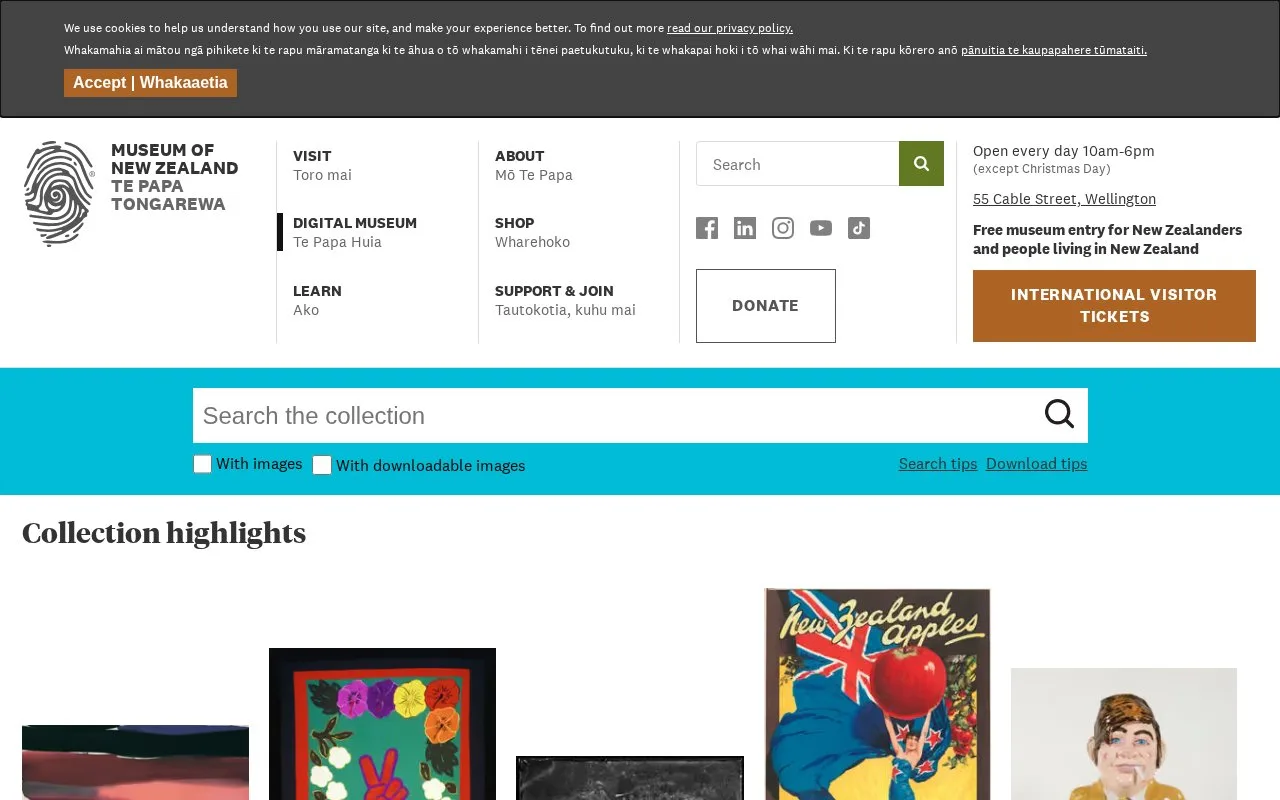 Screenshot of the Te Papa Collections Online homepage