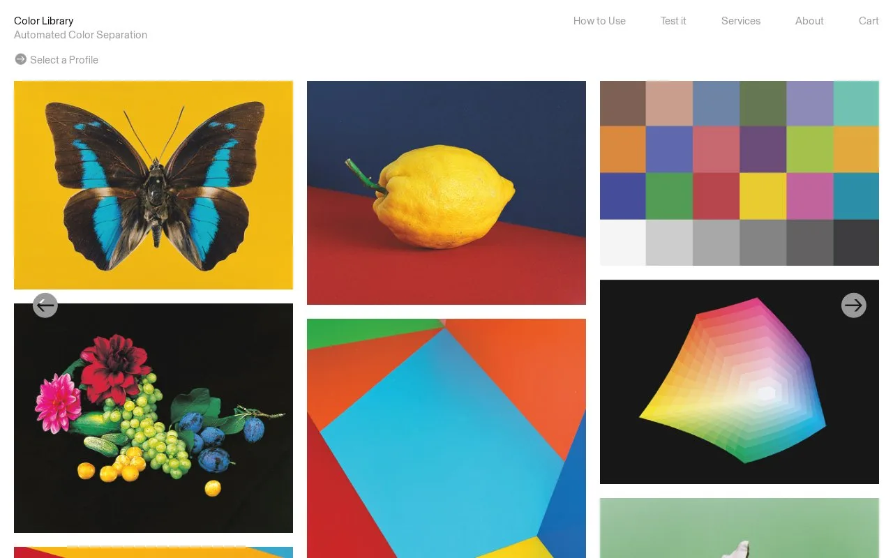 Screenshot of the Color Library homepage