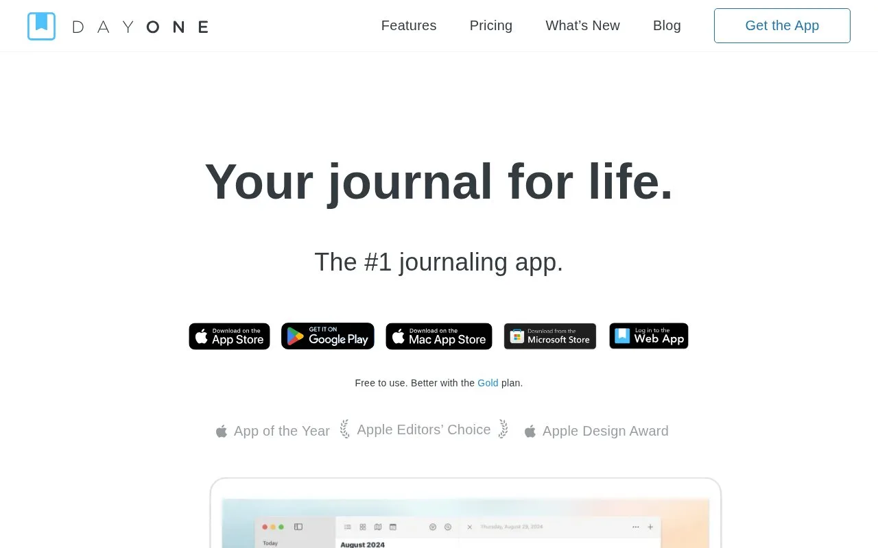 Screenshot of the Day One homepage