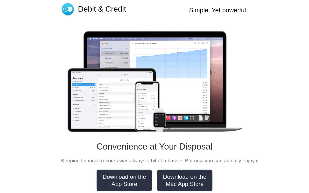 Screenshot of the Debit & Credit homepage