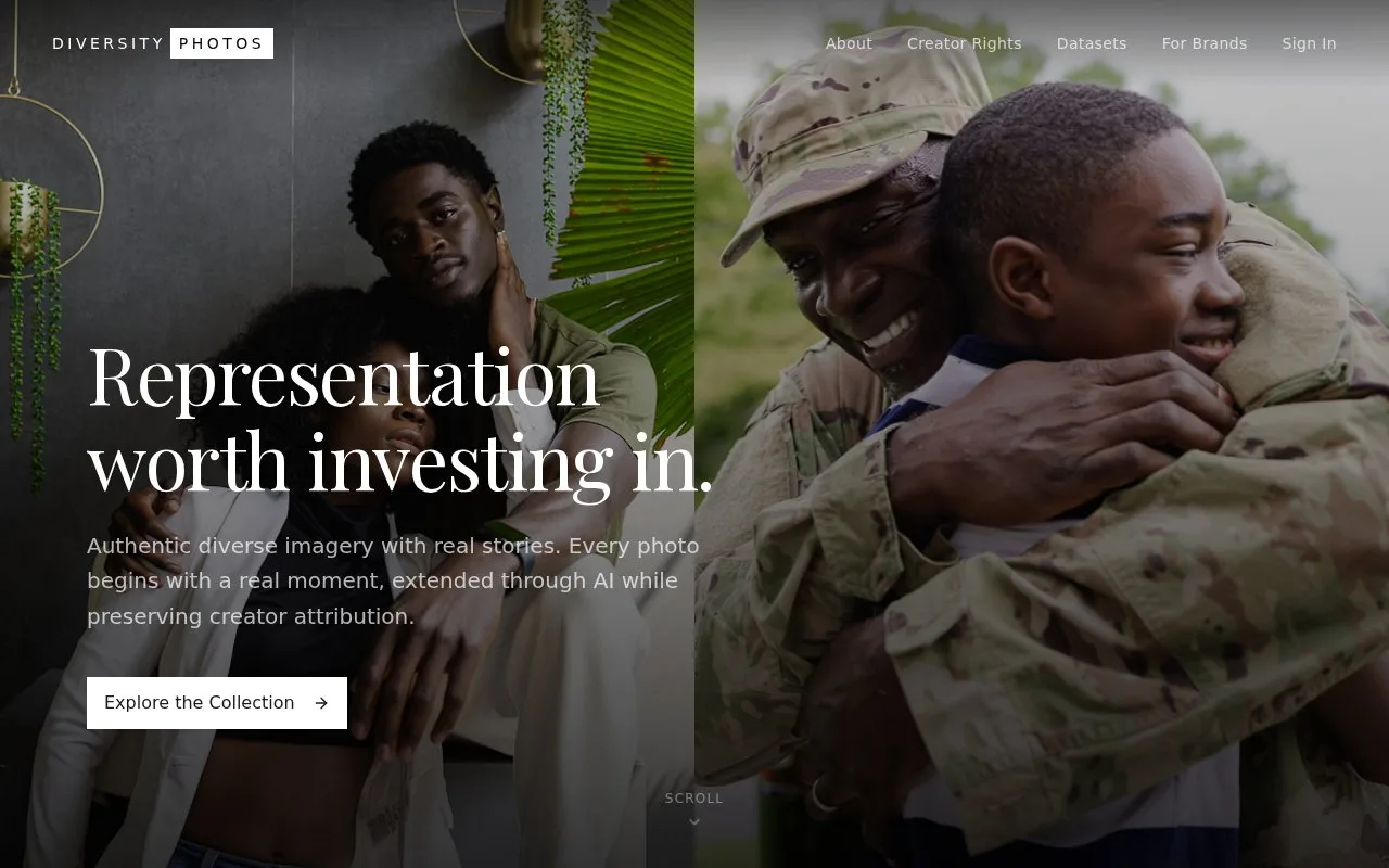 Screenshot of the Diversity Photos homepage
