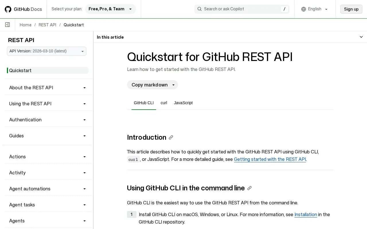 Screenshot of the GitHub REST API homepage