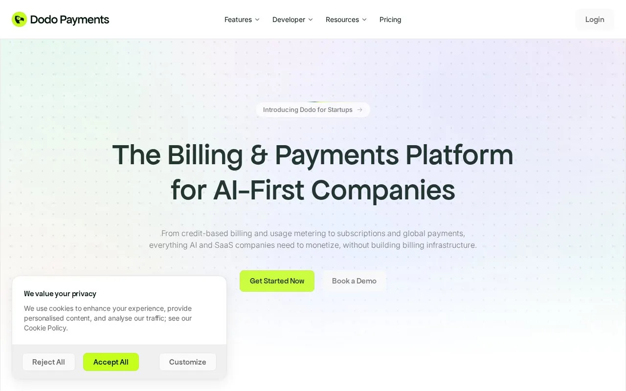 Screenshot of the Dodo Payments homepage
