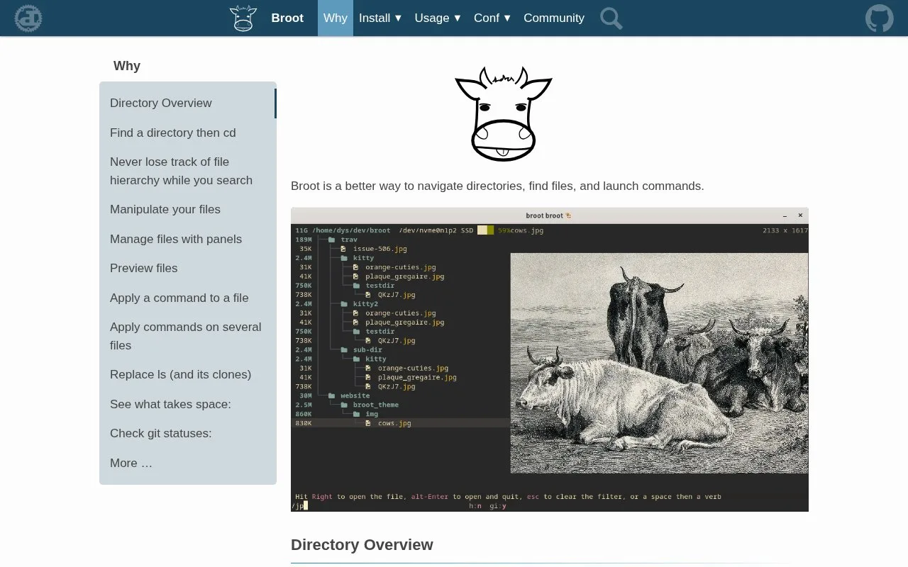 Screenshot of the Broot homepage