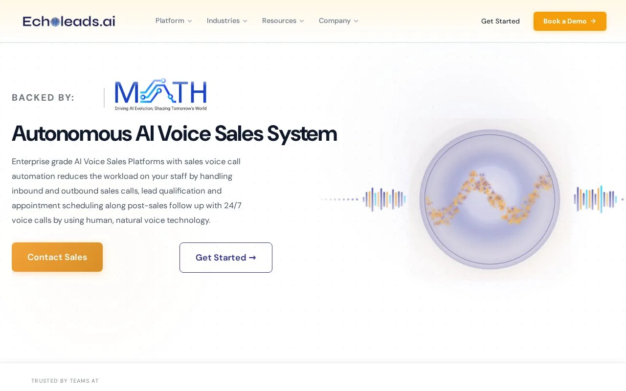 Screenshot of the EchoLeads homepage
