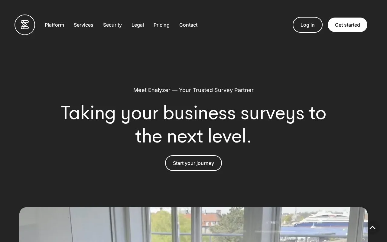 Screenshot of the Enalyzer homepage