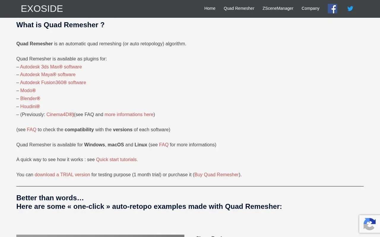 Screenshot of the Quad Remesher homepage