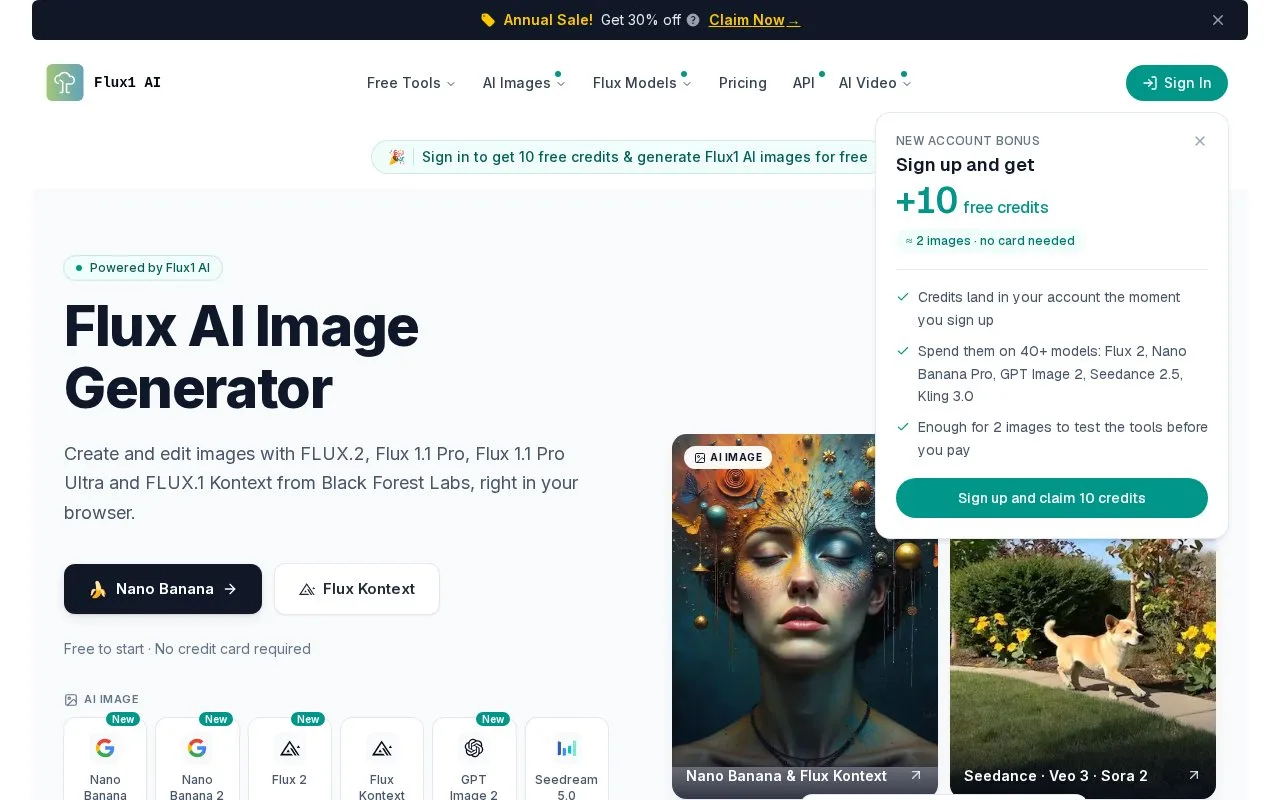 Screenshot of the Flux1 AI homepage
