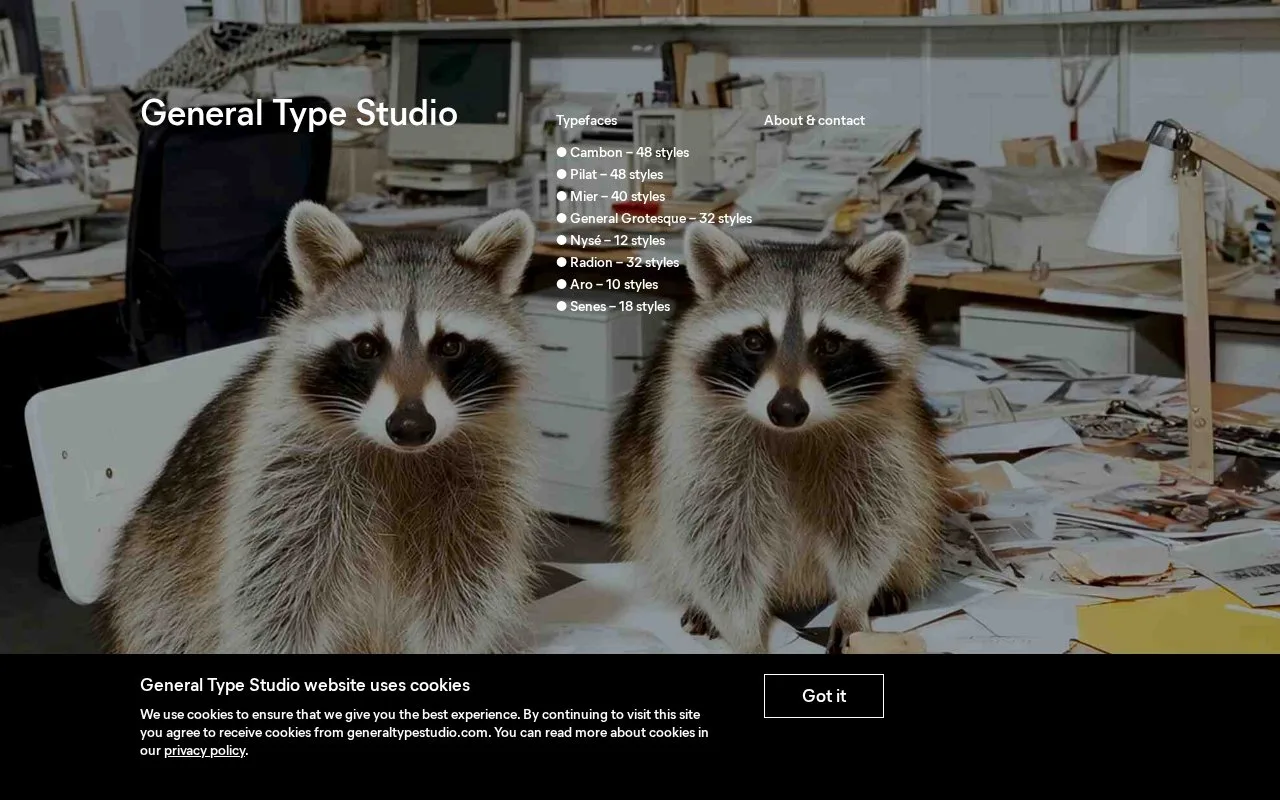 Screenshot of the General Type Studio homepage