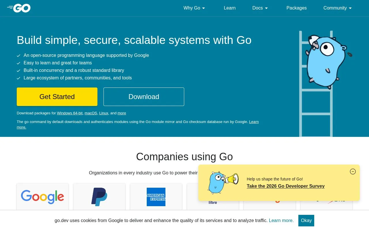 Screenshot of the Go homepage