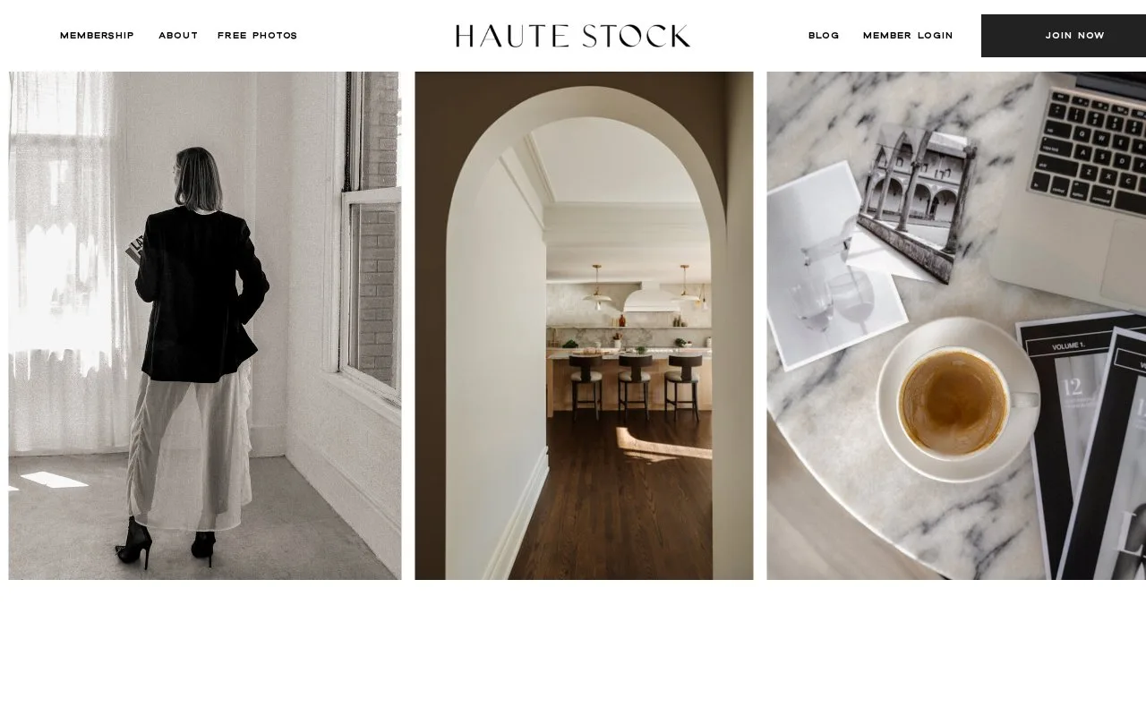 Screenshot of the Haute Stock homepage
