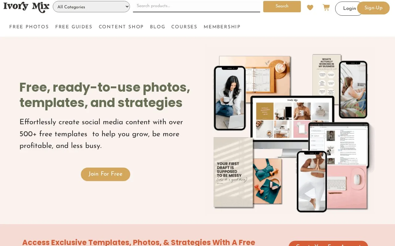 Screenshot of the Ivory Mix homepage