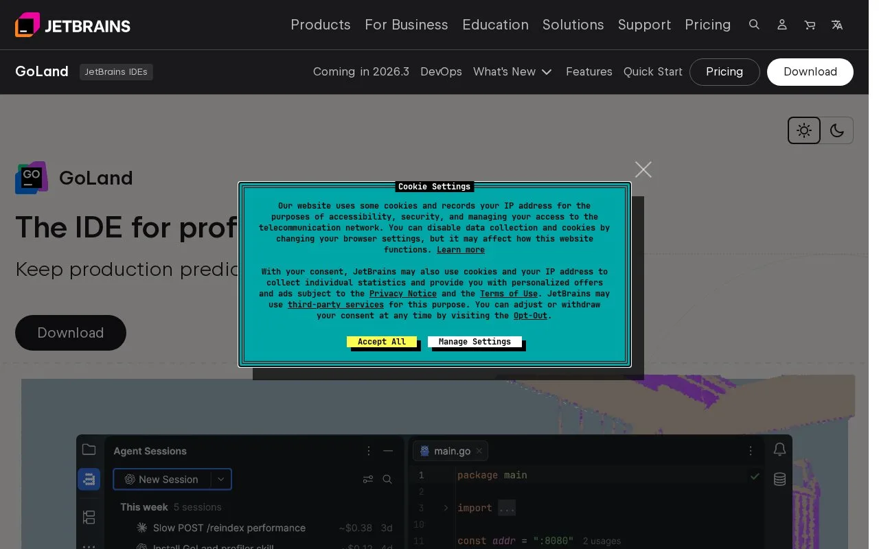 Screenshot of the GoLand homepage