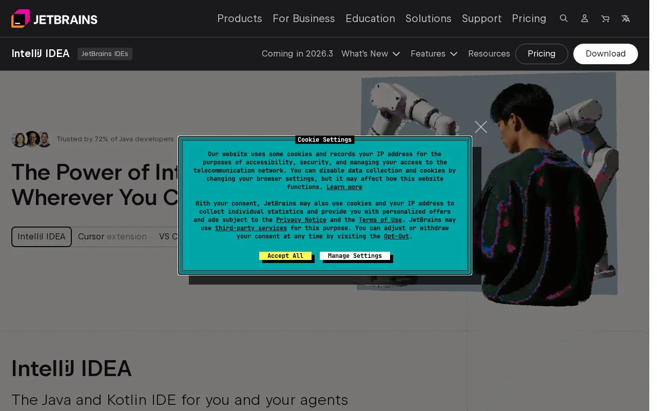 Screenshot of the IntelliJ IDEA homepage