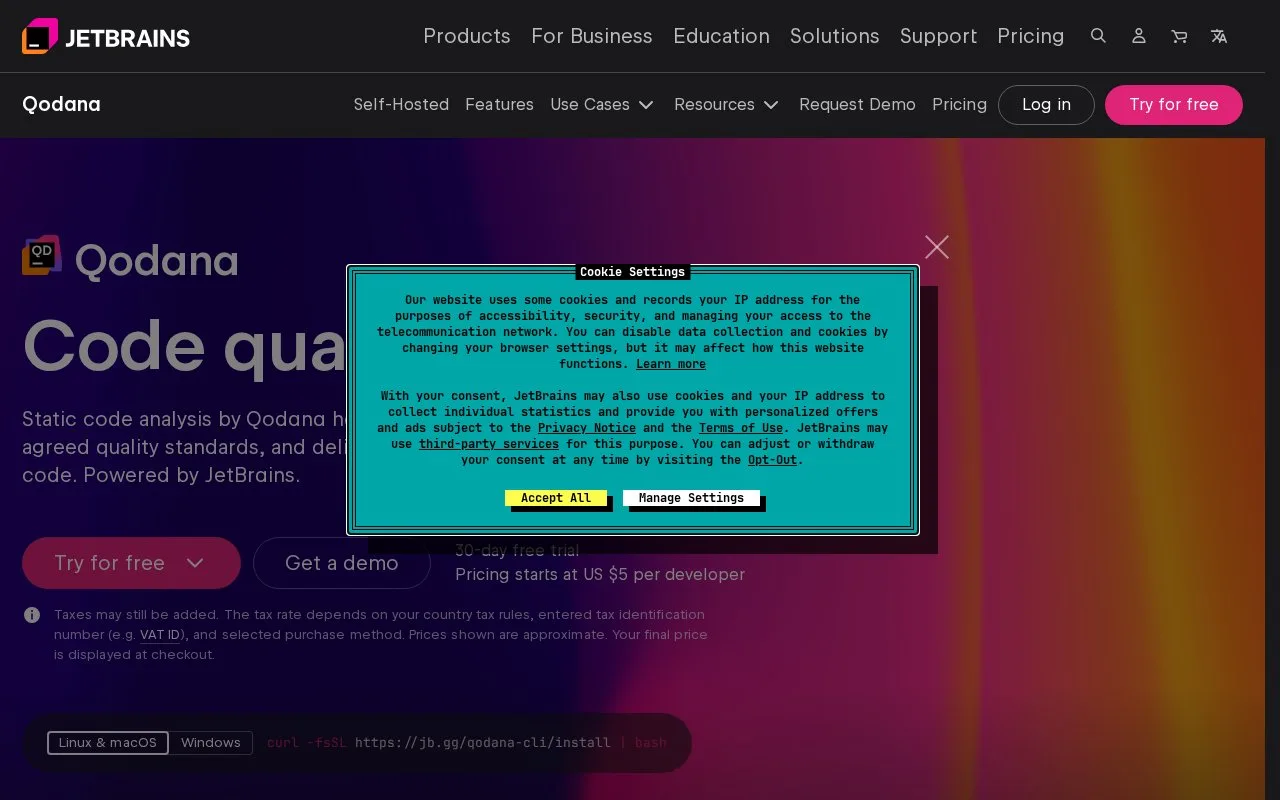 Screenshot of the Qodana homepage