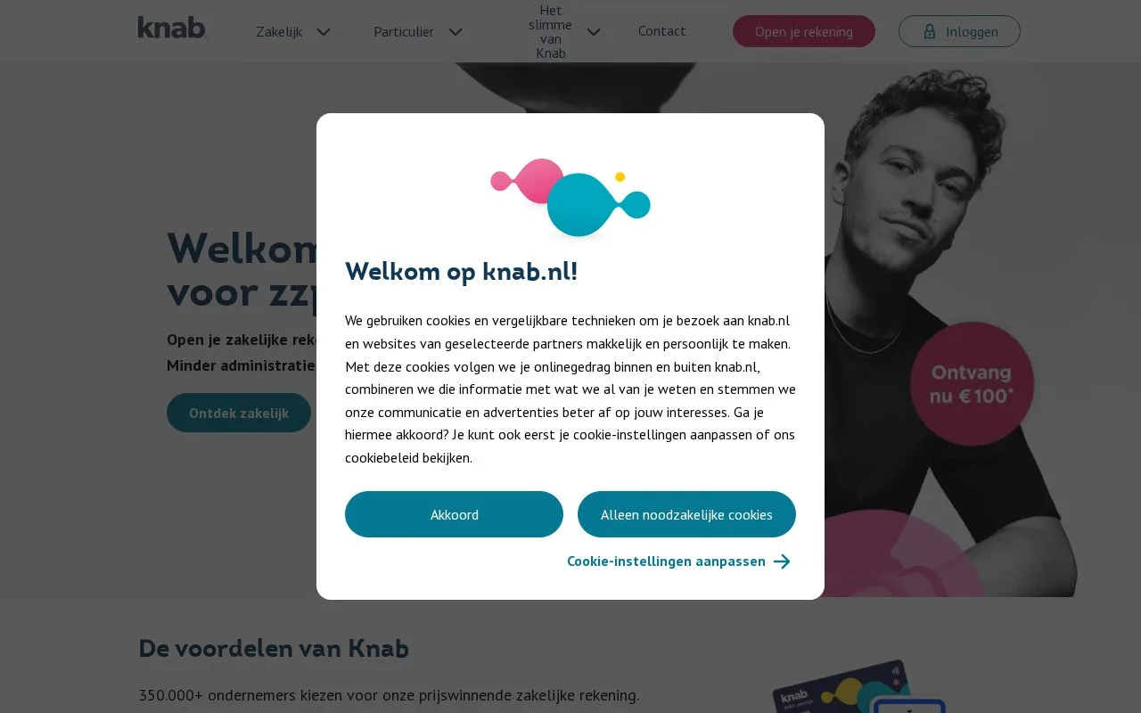 Screenshot of the Knab homepage