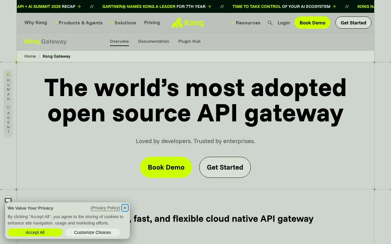 Screenshot of the Kong Gateway homepage