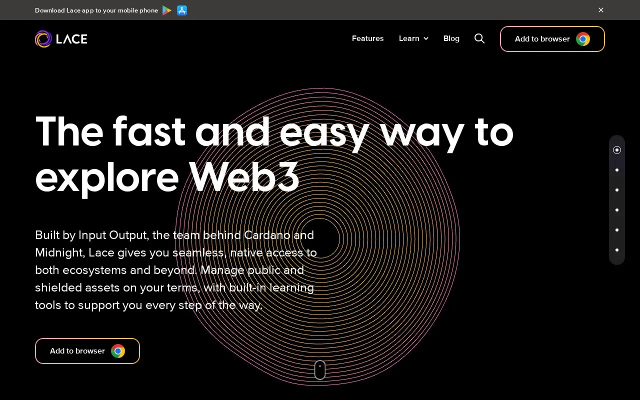 Screenshot of the Lace homepage