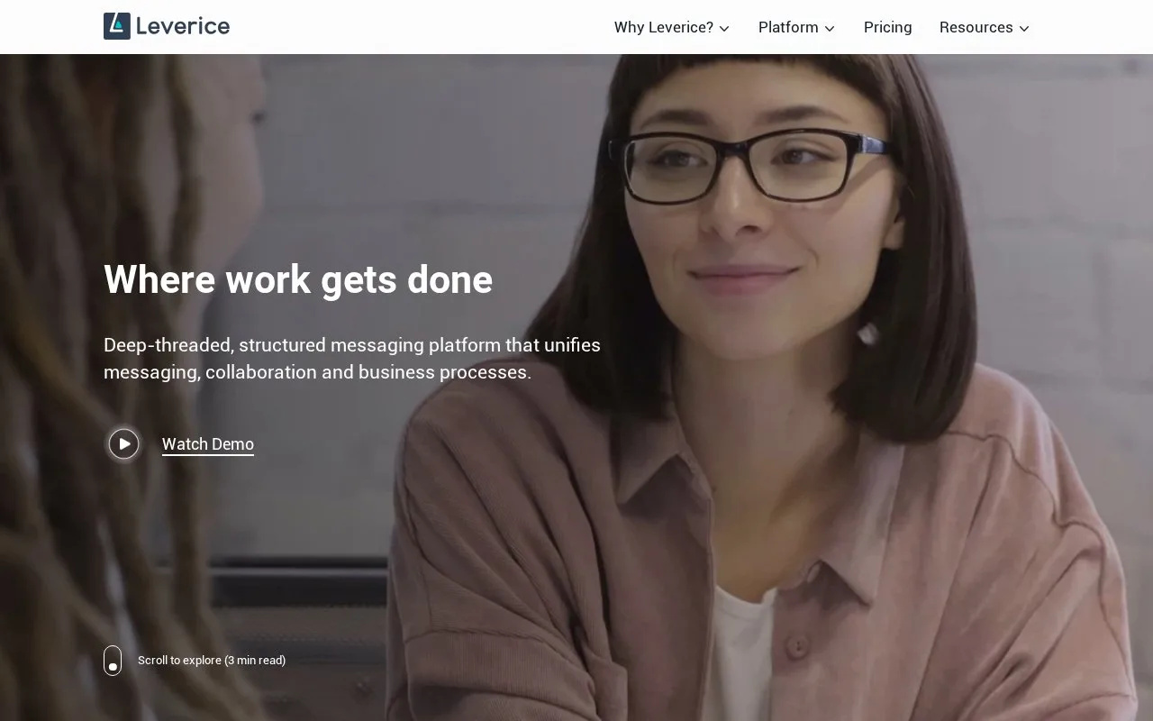 Screenshot of the Leverice homepage