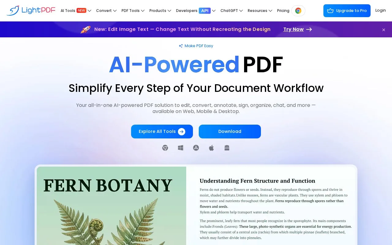 Screenshot of the LightPDF homepage