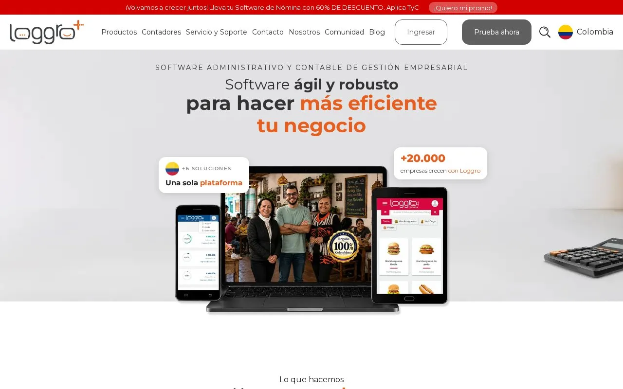 Screenshot of the Loggro homepage