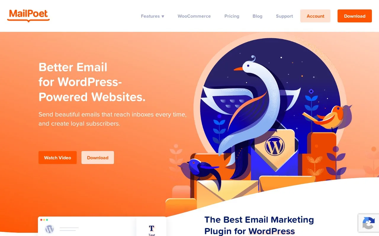 Screenshot of the MailPoet homepage