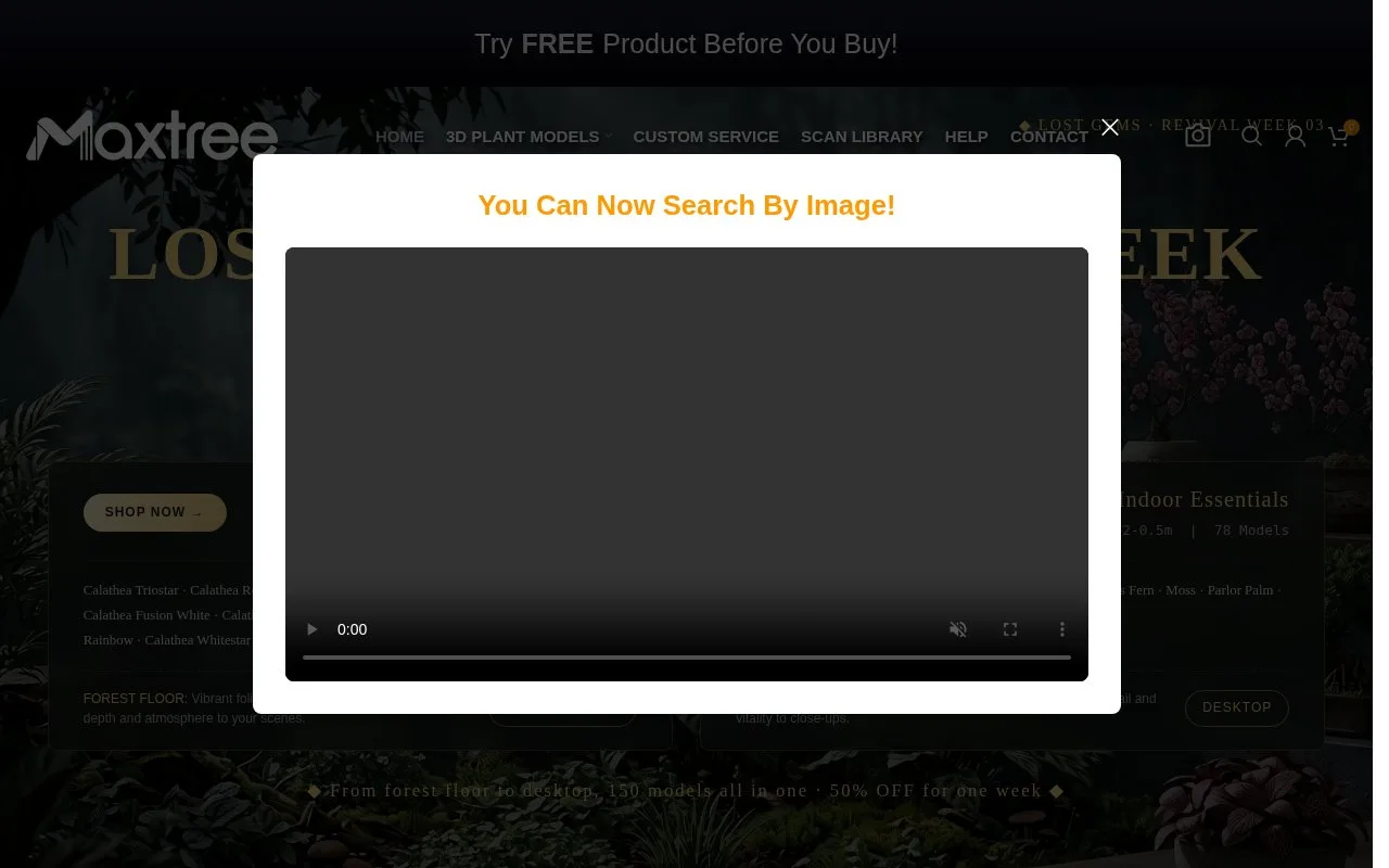 Screenshot of the Maxtree homepage