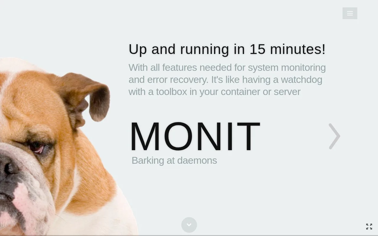 Screenshot of the Monit homepage