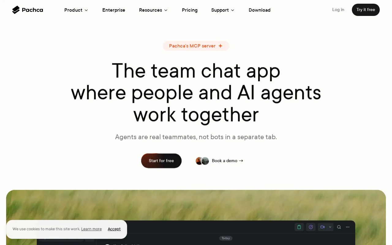 Screenshot of the Pachca homepage