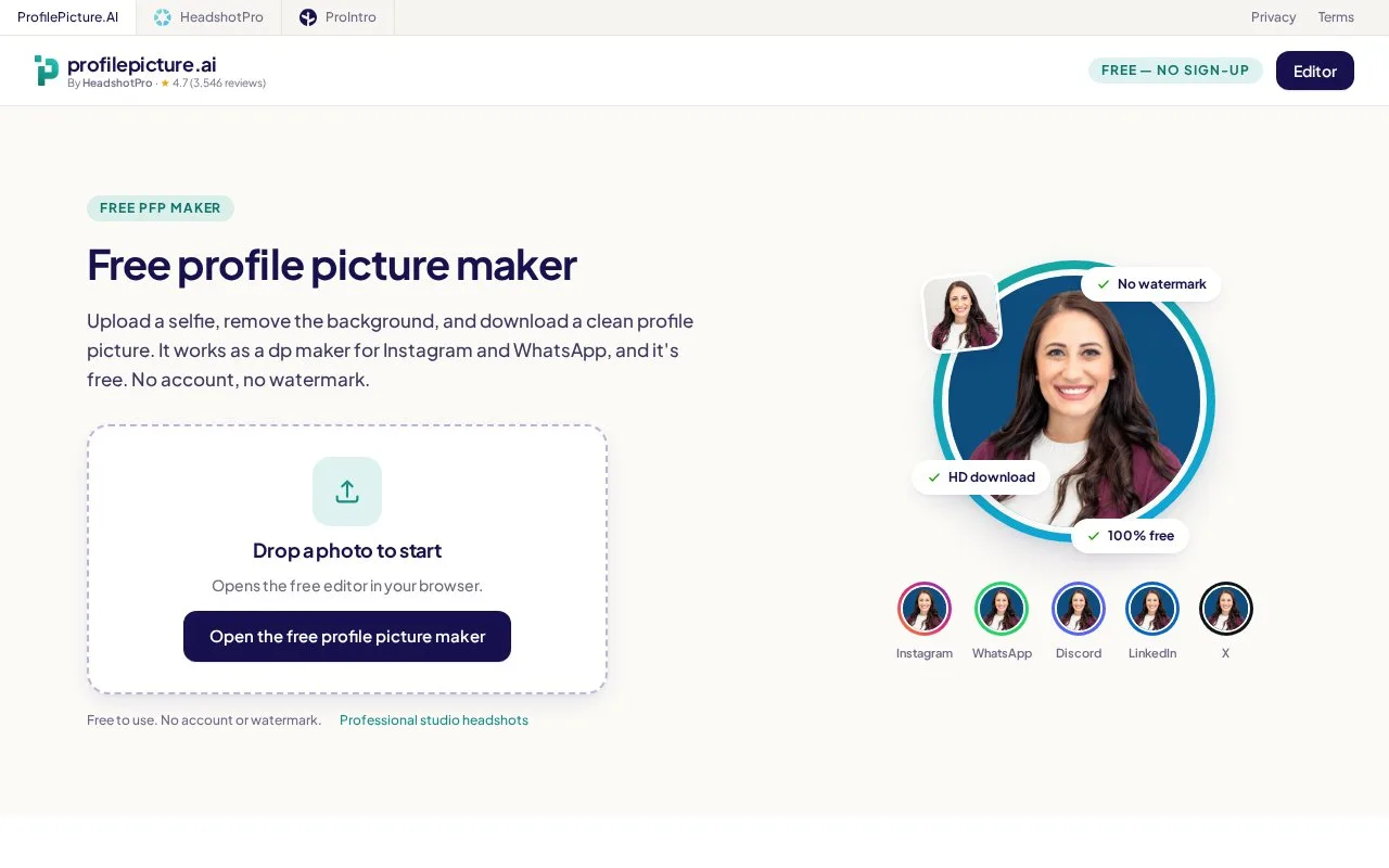 Screenshot of the ProfilePicture.AI homepage