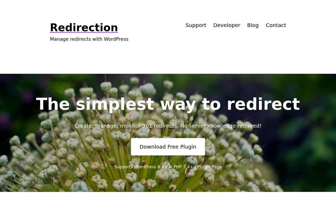 Screenshot of the Redirection homepage