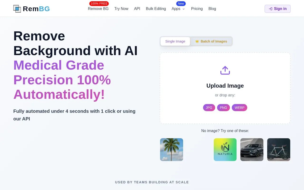 Screenshot of the RemBG homepage