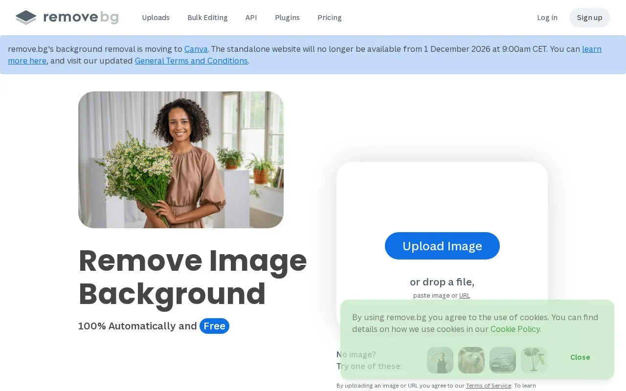 Screenshot of the remove.bg homepage