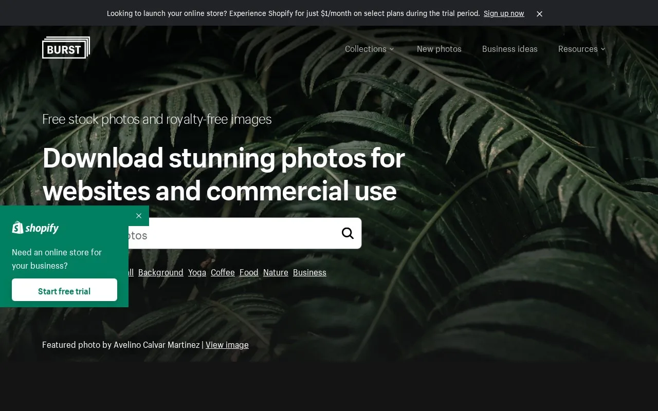 Screenshot of the Burst homepage