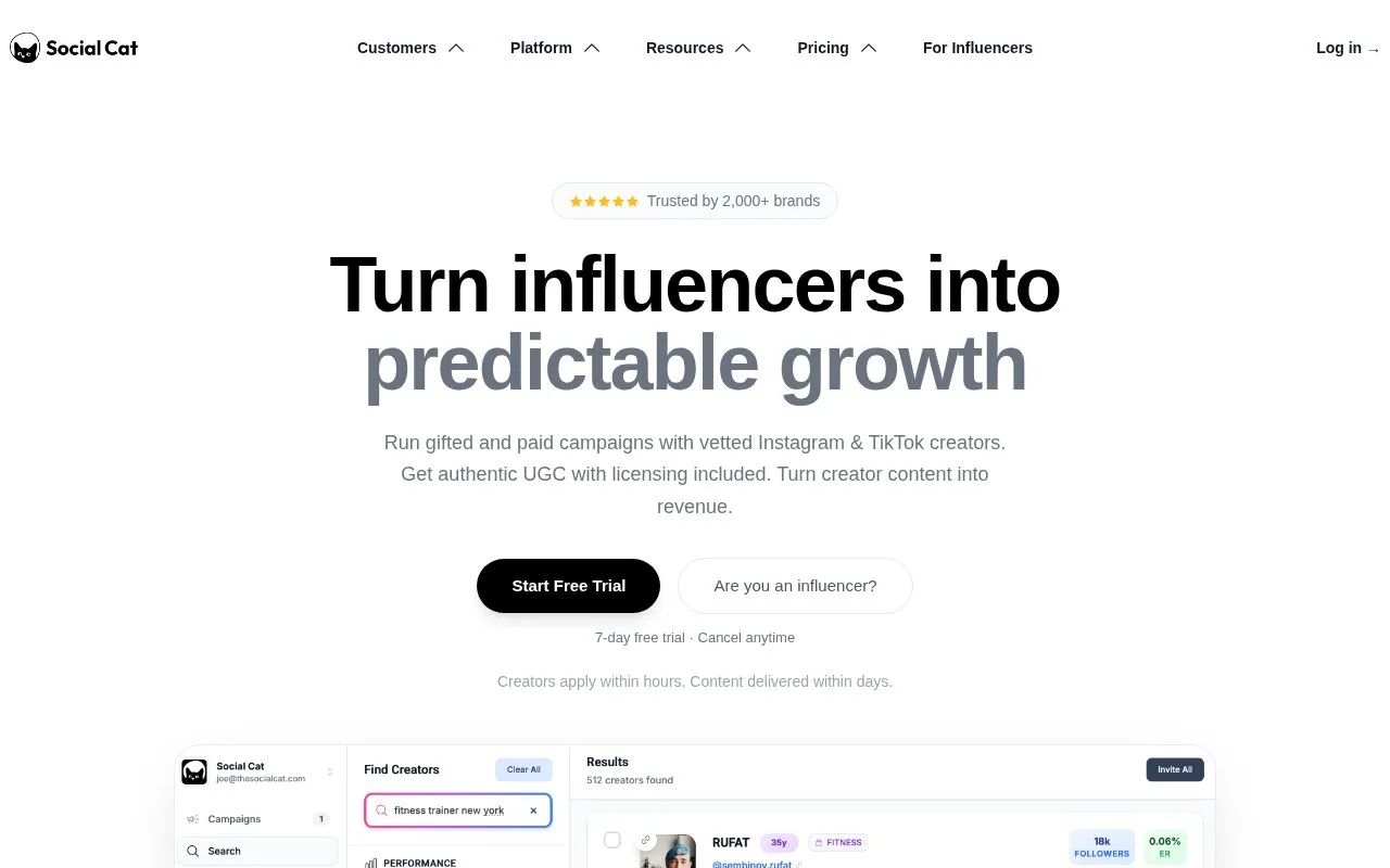 Screenshot of the Social Cat homepage