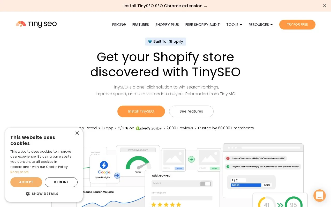 Screenshot of the TinySEO homepage
