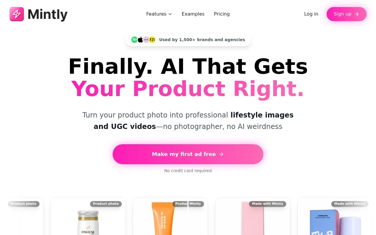 Screenshot of the Mintly homepage